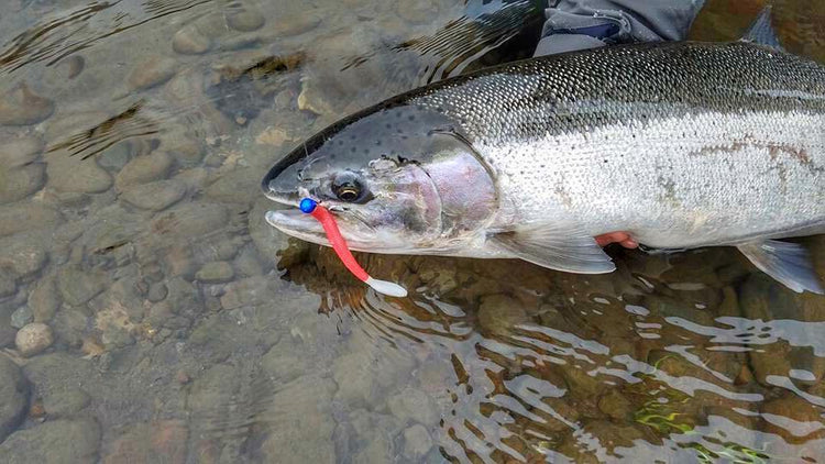 What’s up with the Addicts? | Addicted Fishing Podcast Ep. 1