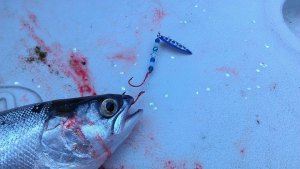 Kokanee Spinners | Kokabow Tackle