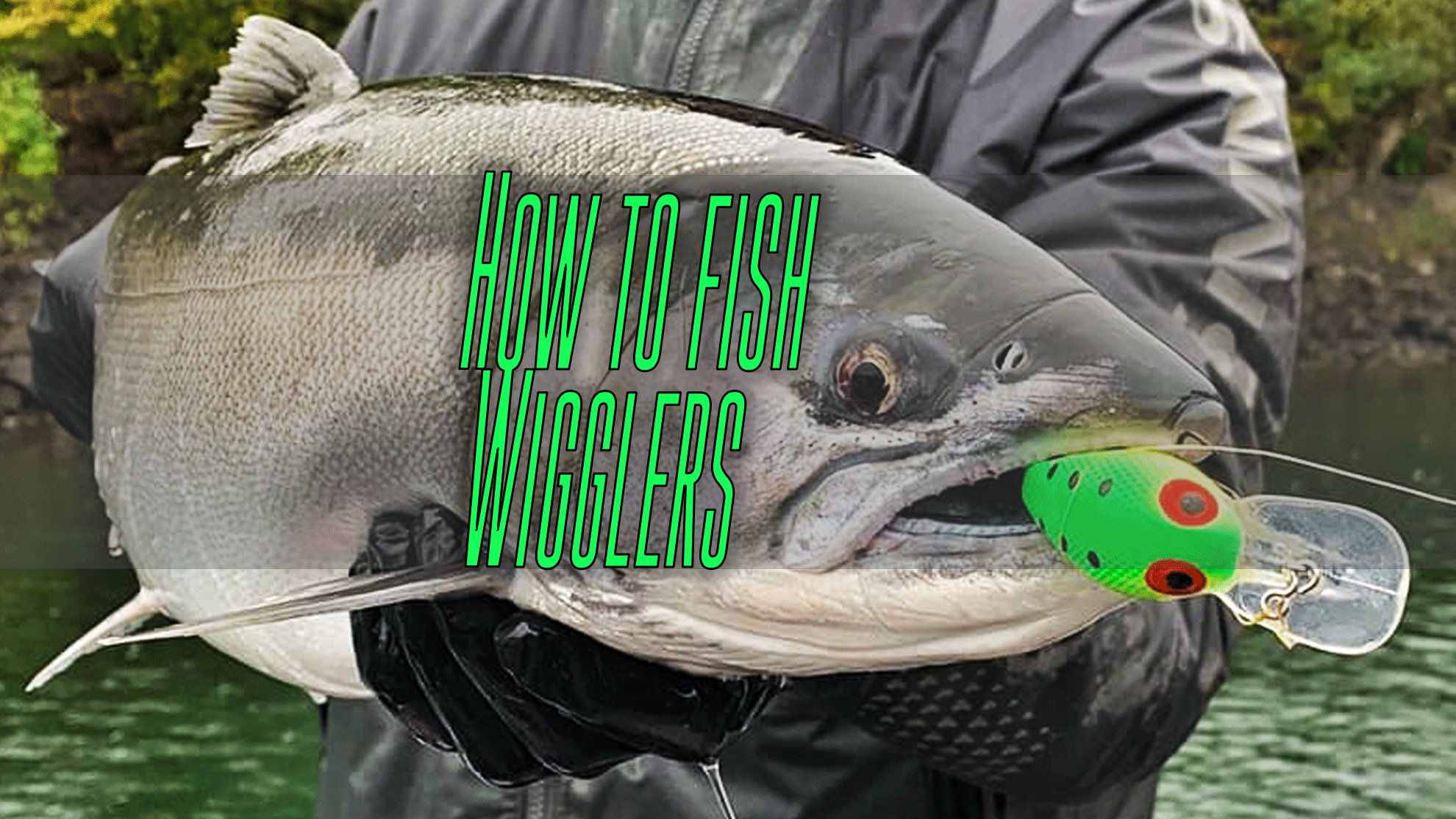 creek chub wiggle fish lure Creek Chub Baby Wiggle Fish Lure