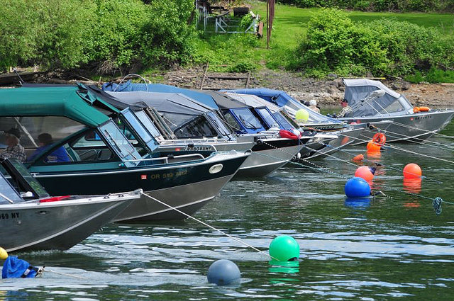 Hog-Line Etiquette | Anchor Fishing For Salmon  Addicted Fishing