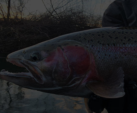 All Products  Addicted Fishing