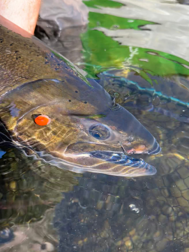 Load image into Gallery viewer, Cloudy Peach Skookum Soft Beads 20Mil