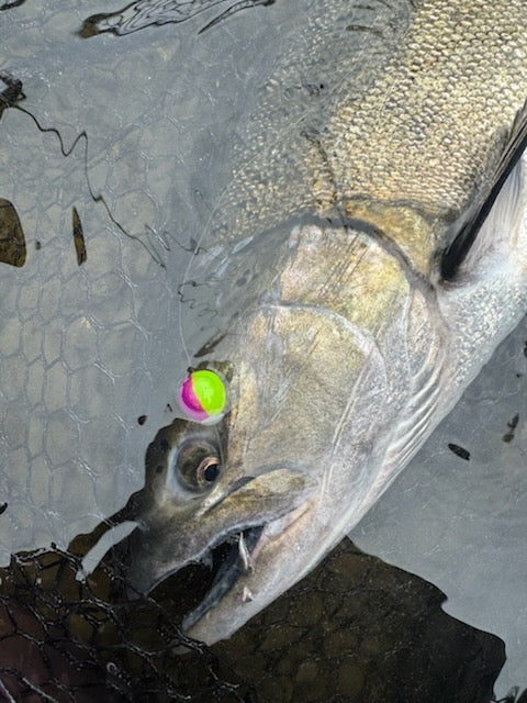 Toxic Purple Skookum Soft Beads 16Mil