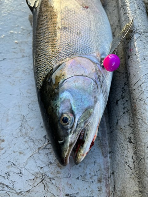 Load image into Gallery viewer, Infected Purple Skookum Soft Beads 20Mil