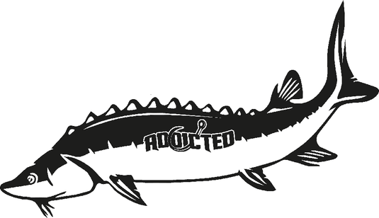 Sturgeon Decal Black