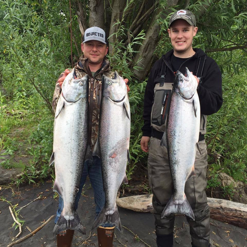 Load image into Gallery viewer, Addicted Salmon Blend Oil