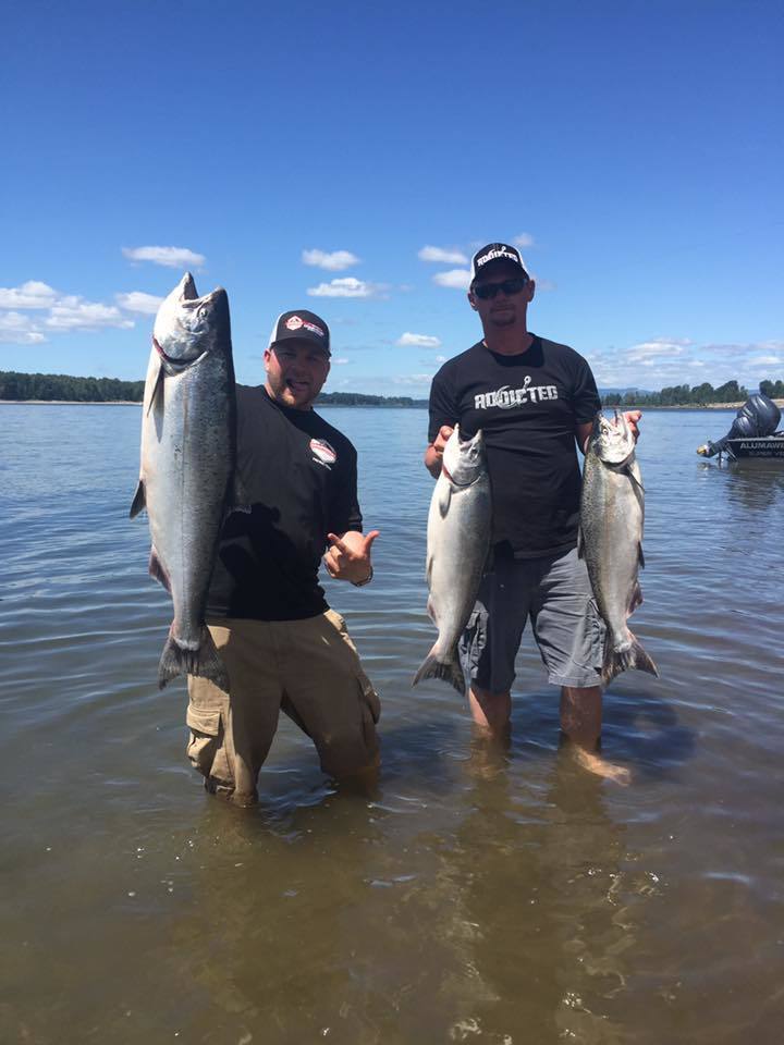 Load image into Gallery viewer, Addicted Salmon Blend Oil