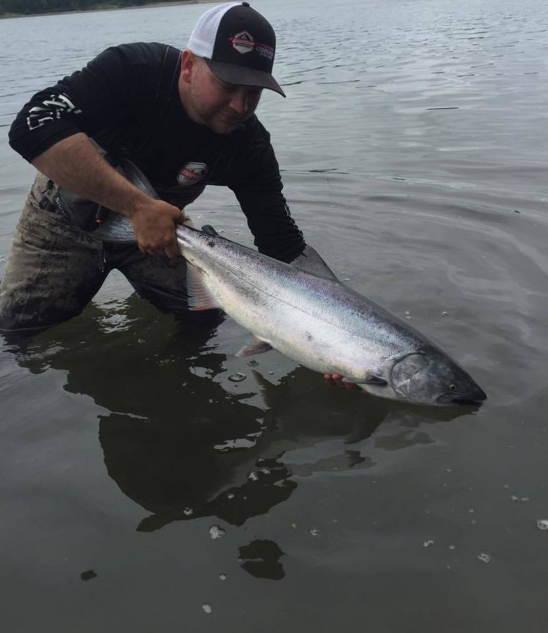 Load image into Gallery viewer, Addicted Salmon Blend Oil