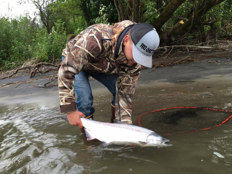 Load image into Gallery viewer, Addicted Salmon Blend Oil