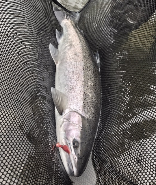 Load image into Gallery viewer, Hand Made USA Cradle Net