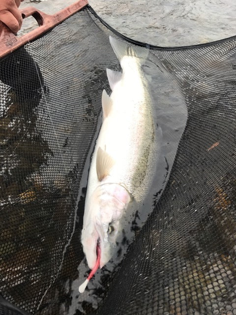 Load image into Gallery viewer, Hand Made USA Cradle Net