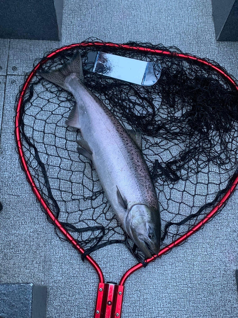 Load image into Gallery viewer, Chrome Dipped 360 Flasher