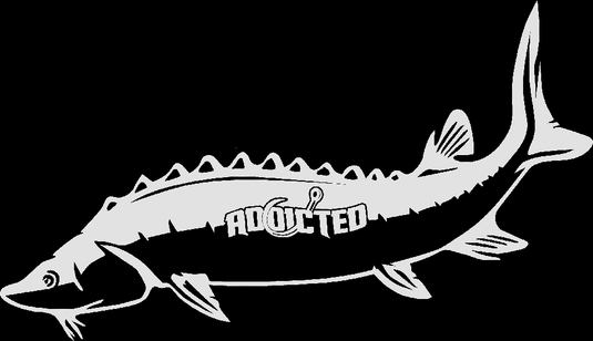 Sturgeon Decal White