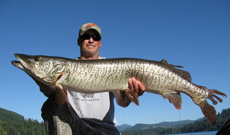 Washington's 7 Tiger Musky Lakes