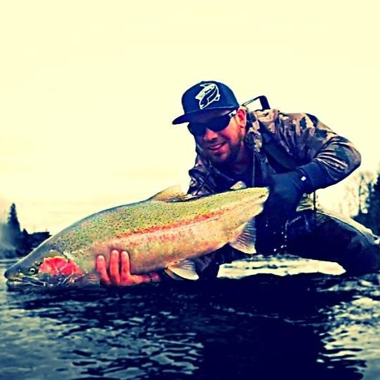 Several 20 Pound Steelhead | Addicted!