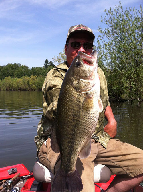Warmwater Baits for Big Bass