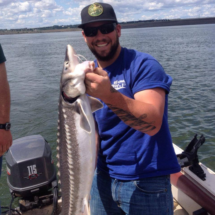 Keeper Sturgeon Opened in Lower Columbia!