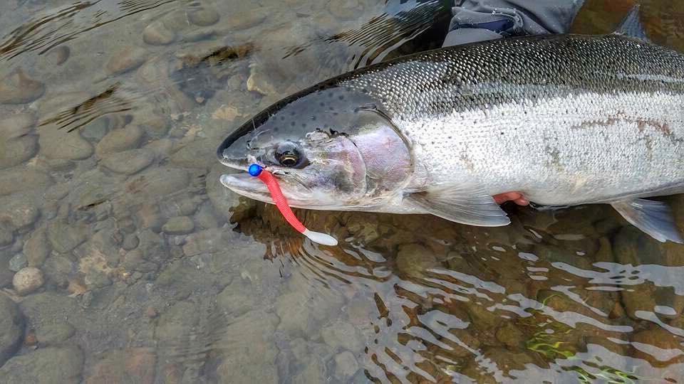 What’s up with the Addicts? | Addicted Fishing Podcast Ep. 1