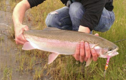 $25,000 in Prizes to Fish for Trout!