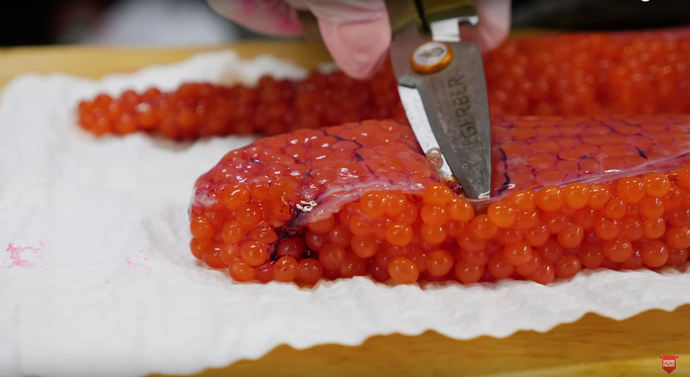Egg Curing Series