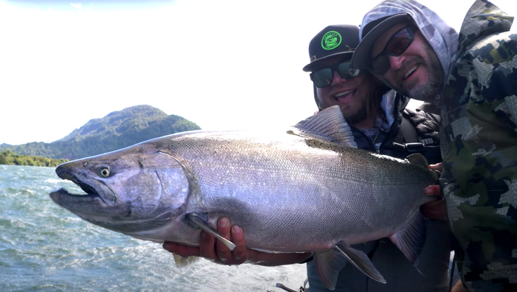 Giant TYEE Salmon in Chile | The Biggest Kings on Planet Earth?