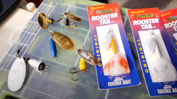 Spinner Fishing for Trout (The Complete Guide)