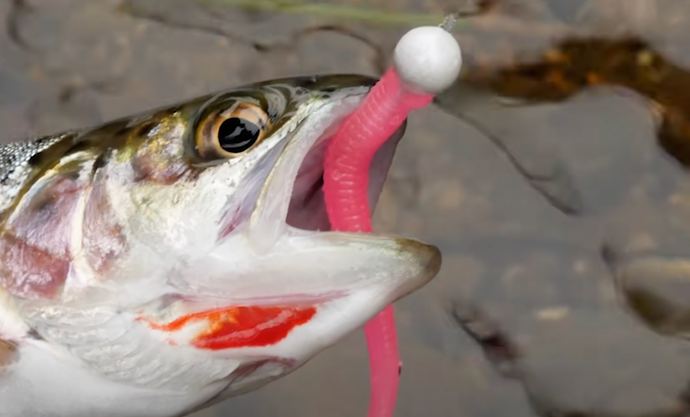 do fishing lures float Soft Lure Accessories, for All Game Fish, Rig with Any Soft Plastic Bait, Terminal Tackle Floats, Bait Fishing (Black) : Sports & Outdoors Is Using A Wobbler Float
