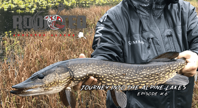 Only 1 more episode remains!! Pike Fishing Alaska.