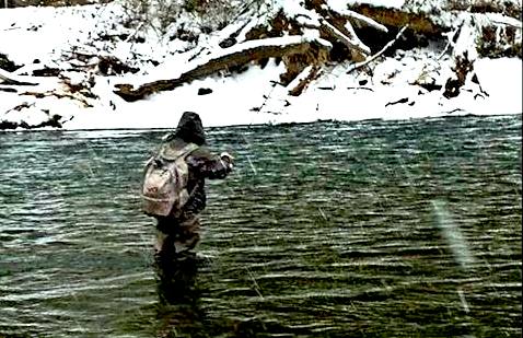 Why Salmon & Steelhead Are One of The Worlds Most Addictive Fish