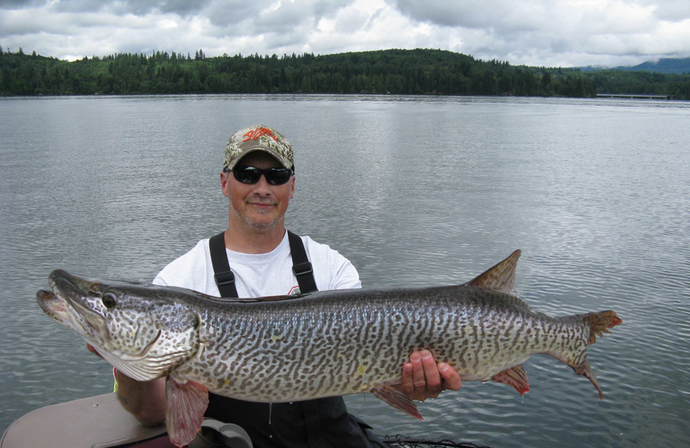 Tiger Musky 101