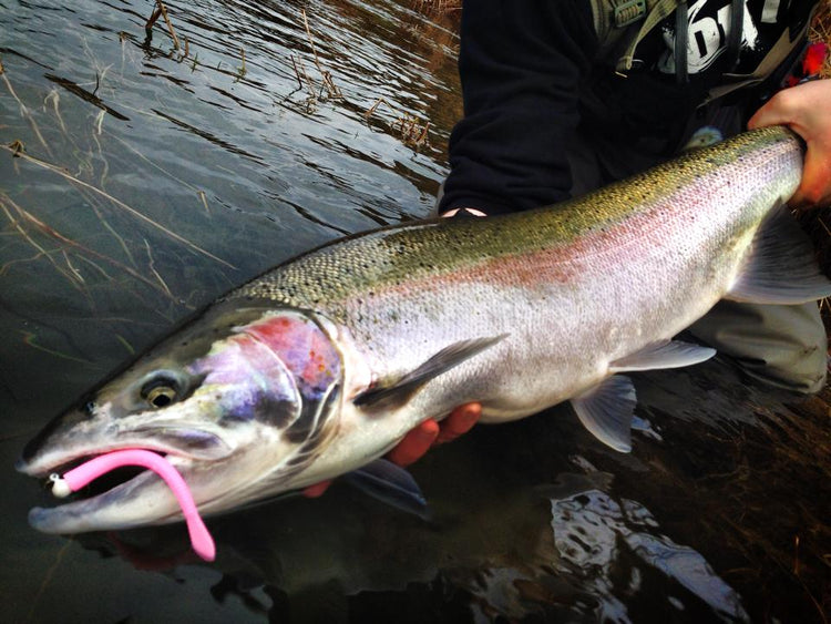 How to Rig a Pink Worm