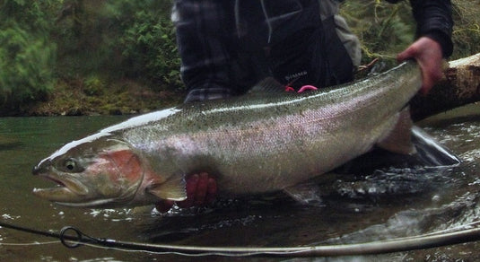 Float Fishing for Big Steelhead! Part 1