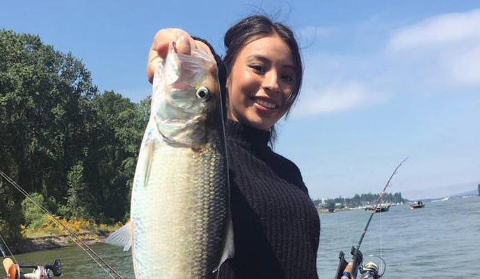 Columbia River Shad Takedowns