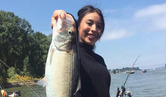 Columbia River Shad Takedowns