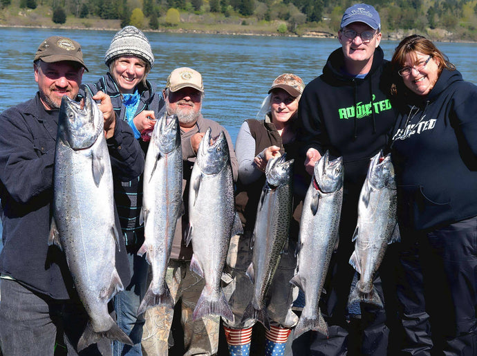 Herring on Anchor - Chinook Salmon Technique Explained