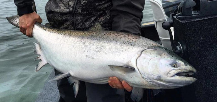 Spring Chinook Secrets! FISHING SEMINAR