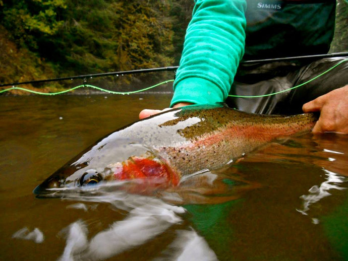 Oregon & Washington Steelhead Fly Fishing