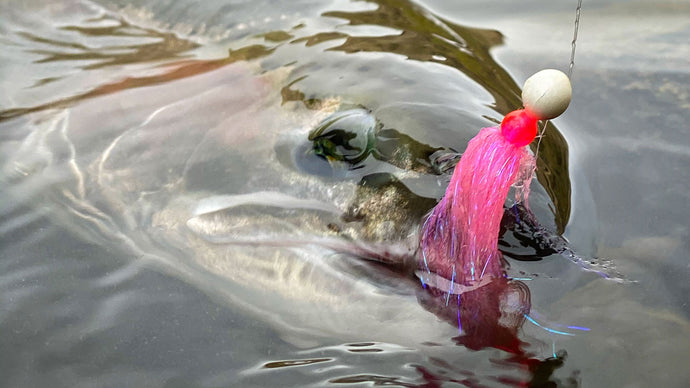 EPIC Steelhead Fishing!