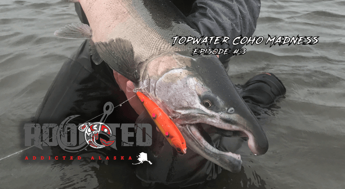 Everyone loves a little topwater Coho action!