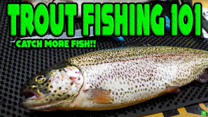 Beginner Trout Fishing, a Trout FIshing 101 Breakdown