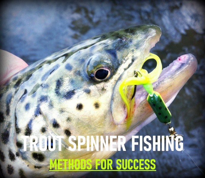 Trout Spinner Fishing Methods For Success