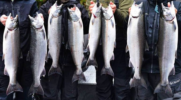 The BEST Way to Fillet a Salmon or Steelhead