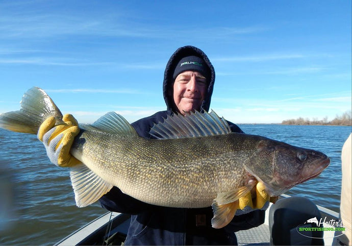 How to Setup & Troll Walleye Effectively
