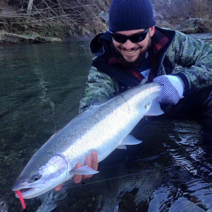 3 tips for Low-Clear Water Steelhead Fishing