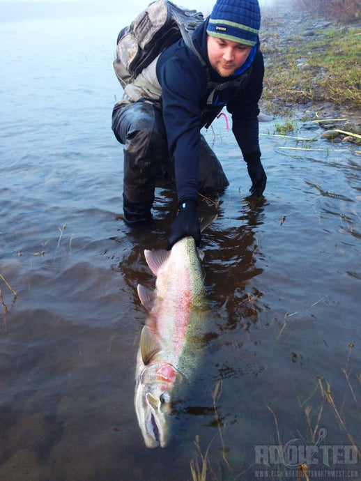 Salmon & Steelhead declines in Southwest Washington