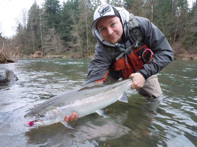 Winter Steelhead Fishing 2011-2012