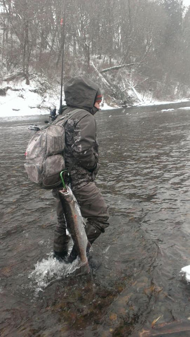 The Best Way to Bleed Salmon & Steelhead