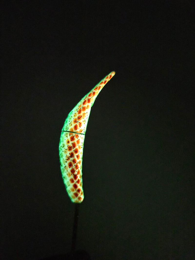 Load image into Gallery viewer, Oz Customs × Yakima Bait Spin N Fish "River Tax" Limited Edition
