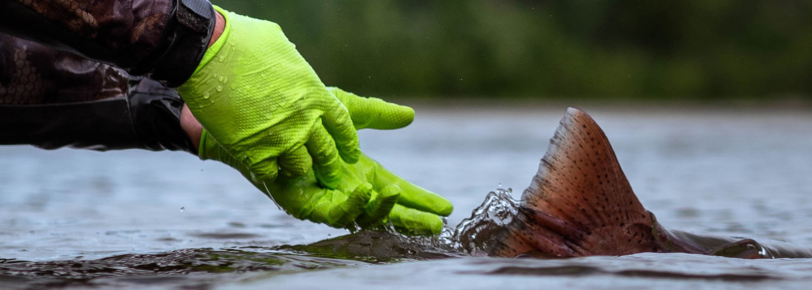 Accessories, Fishing Nets, & Gloves