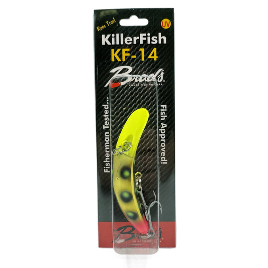 Brad's KF-14 - The Rave